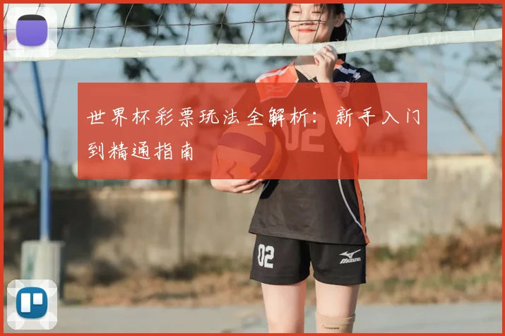 世界杯彩票玩法全解析：新手入门到精通指南