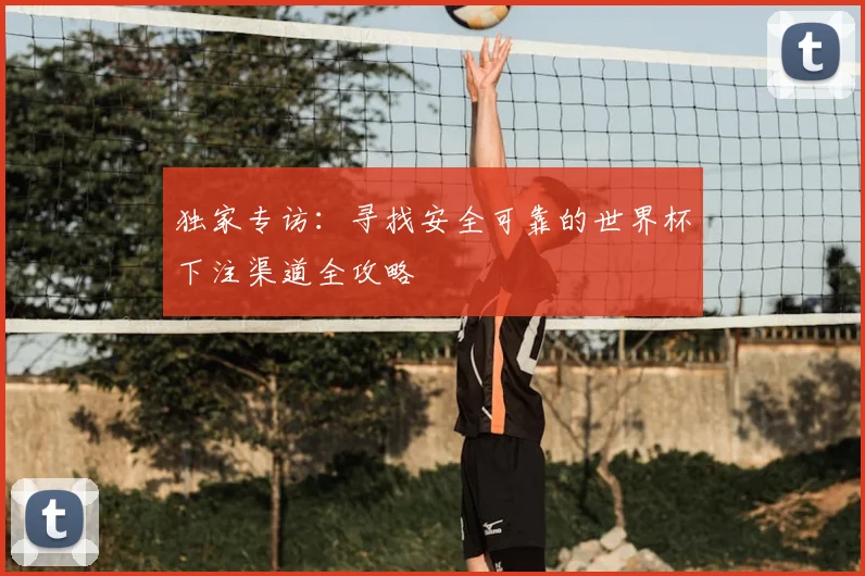 独家专访：寻找安全可靠的世界杯下注渠道全攻略