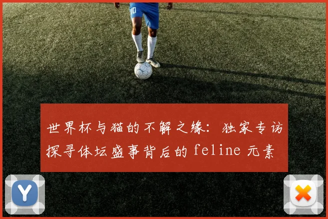 世界杯与猫的不解之缘:独家专访探寻体坛盛事背后的 feline 元素
