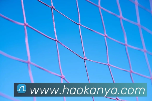 leyu乐鱼中国官方网站发展历程